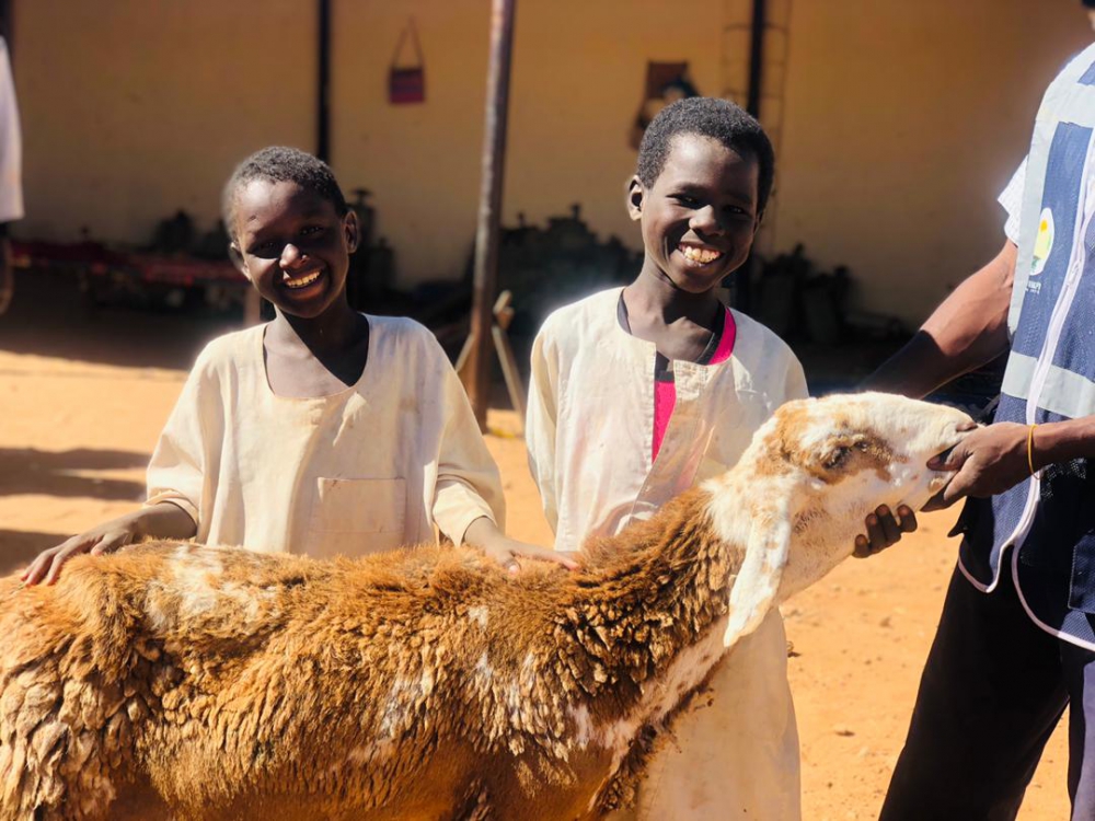 İhlas Vakfı 2021 Kurban Vekalet Bedellerini Açıkladı